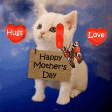 Hugs And Love On Mothers Day Happy Mothers Day GIF - Hugs And Love On Mothers Day Happy Mothers Day Sad Kitten GIFs