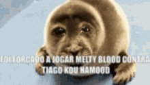 Kou Kou Hamood GIF - Kou Kou Hamood Melty Blood GIFs