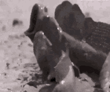 Fight Funny GIF - Fight Funny Lol GIFs