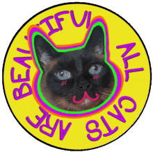 acab all cats are beautiful acab all cats are beautiful