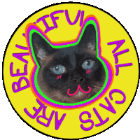 Acab All Sticker - Acab All Cats Stickers