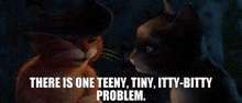 Puss In Boots There Is One Teeny Tiny Itty Bitty Problem GIF - Puss In Boots There Is One Teeny Tiny Itty Bitty Problem There Is One Small Problem GIFs