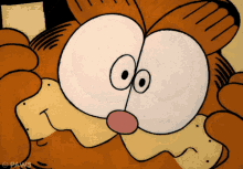 Scared Of Lightning Garfield GIF - Scared Of Lightning Garfield Lightning GIFs