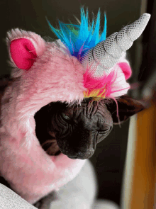 unicorn cat sphynx halloween costume