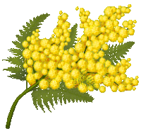 a bunch of small yellow flowers with green leaves on a white background