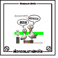 a cartoon of two seagulls standing next to each other with speech bubbles saying moin and moinsen .
