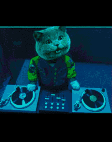 Cats Party GIF - Cats Party GIFs