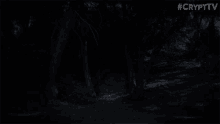 Dark Forest Jump Scare GIF - Dark Forest Jump Scare Monster GIFs