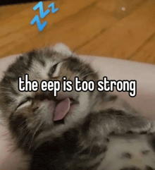 a kitten with its tongue out and the words the eep is too strong