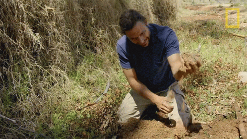 Water Primal Survivor GIF - Water Primal Survivor Finding Water In The Desert - Discover & Share GIFs