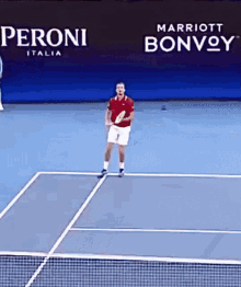 daniil medvedev overhead smash winner tennis atp