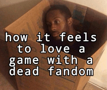 a man in a cardboard box with the words " how it feels to love a game with a dead fandom " below him