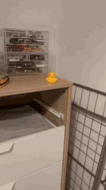 Rubber Duck Zoom GIF