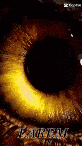 a close up of a person 's eye with the name larem written on it