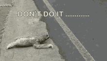 No Dont Do It GIF - No Dont Do It Please Dont Do It GIFs