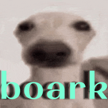 Barking Dog Funny GIF - Barking Dog Funny Funny Memes GIFs
