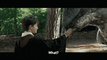 a harry potter character petting a giant bird with the words what on the bottom right