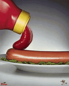 Hotdog Ketchup GIF - Hotdog Ketchup Lick GIFs