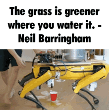 Neil Barringham Grass GIF - Neil Barringham Grass Green Heart GIFs