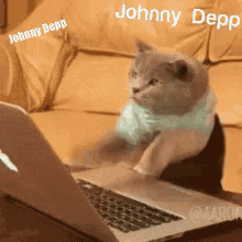 Johnny Depp Cat GIF - Johnny Depp Cat GIFs