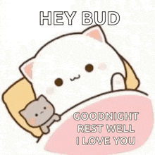 a cartoon cat is laying in a bed with a cat .