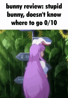 a bunny review says stupid bunny does n't know where to go 0/10