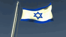 Flag Flag Waver GIF - Flag Flag Waver Israel GIFs