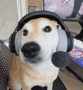 Dog Gamer GIF - Dog Gamer Headphones GIFs