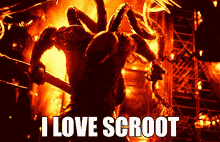 Carnage Love Scroot GIF - Carnage Love Scroot Kaperoo GIFs
