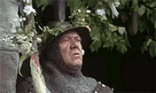 Monty Python And The Holy Grail Stab GIF - Monty Python And The Holy Grail Stab Get In GIFs