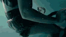 Here Comes The Shark The Requin GIF - Here Comes The Shark The Requin The Shark Is Coming GIFs