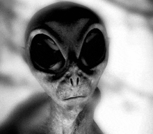 a black and white photo of a gray alien with big eyes .
