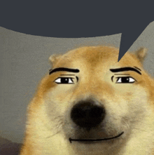 Discord Speech Bubble Doge Airstew GIF