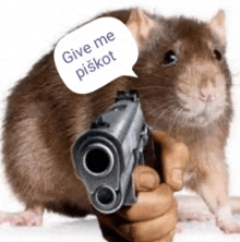 a person is pointing a gun at a rat that says give me piskot
