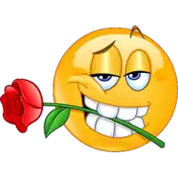 a smiley face holds a red rose in its mouth