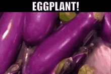 Eggplant Iron Chef GIF - Eggplant Iron Chef Secret Ingredient GIFs