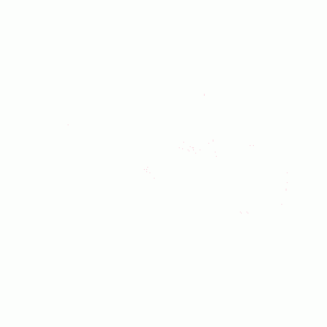 the word kiss is on a white background with sprinkles .