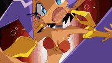 Shantae Sky GIF - Shantae Sky Bolo GIFs