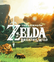 Legend Of Zelda Legend Of Zelda Breath Of The Wild GIF - Legend Of Zelda Legend Of Zelda Breath Of The Wild Breath Of The Wild GIFs
