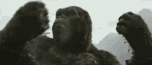 King Kong Fight GIF - King Kong Fight Angry GIFs