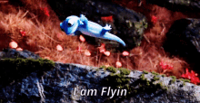 I Am Flying Fly GIF - I Am Flying Fly Flying GIFs