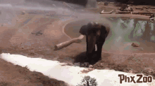 Firefighters Clean The Elephants GIF