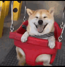 Happy Dog Smiling GIF - Happy Dog Smiling Funny Animals GIFs