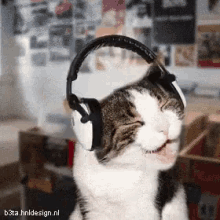 Music Happy GIF - Music Happy Cat GIFs