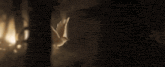a bird is flying through a dark room in front of a fence