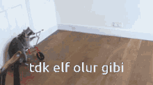 Tdk Elf GIF - Tdk Elf GIFs