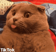 Tongue Out Cat GIF - Tongue Out Cat Cute GIFs