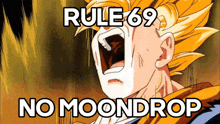 Goku Rule GIF - Goku Rule Rule 69 GIFs