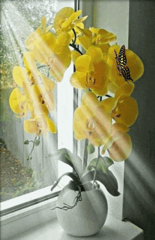 Orhidea Napsütés GIF - Orhidea Napsütés GIFs