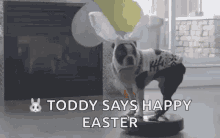 Happy Easter Toddy GIF - Happy Easter Toddy Dog GIFs